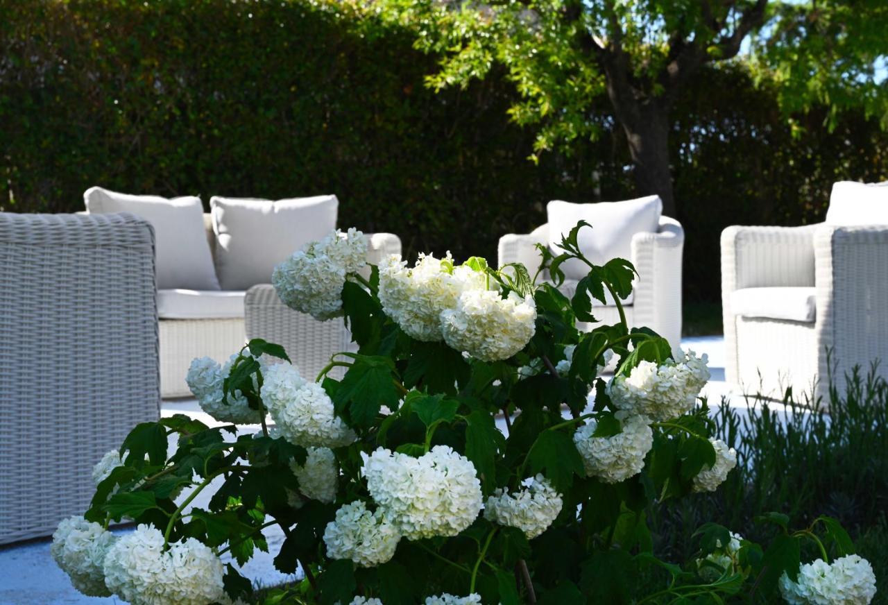 Aura Relais Bed & Breakfast Numana Exterior foto
